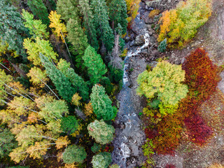 Fall Color Aerial