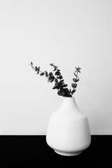 Round leaves in the branches arranged in a white ceramic vase. Interior object still life in monochromatic colors on the black table against white wall backdrop.