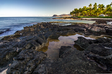 secret beach morning in oahu hawaii - obrazy, fototapety, plakaty
