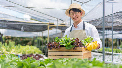 Hydroponic vegetable concept, Young Asian man holding basket of fresh salad in hydroponic farm