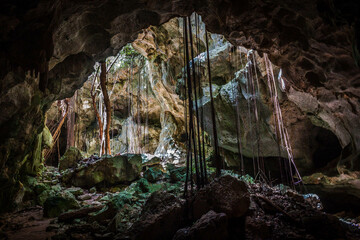 cave in the jungle dominicus republica dominicana