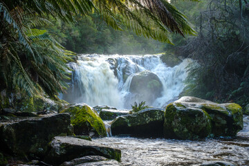 Beautiful flowing waterfall in Tasmania
