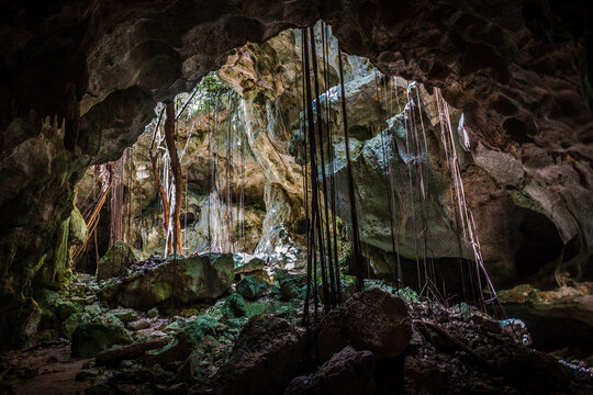 cave in the jungle dominicus republica dominicana