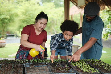 African American farmer family teaches their son to plant seedlings in vegetable gardening nursery...