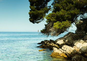 Sea landscape, Adriatic Sea, Croatia, rocks protruding from the water, pine branches hang over the water.