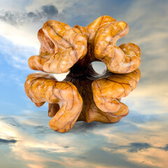 Walnut kernel on the cloud