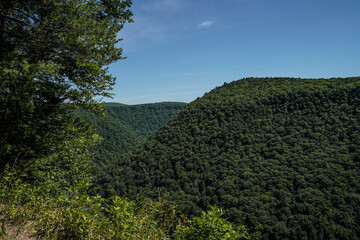 Obraz premium Scenic landscape view of the Pennsylvania Grand Canyon. Mountains in the summer. Lush green.