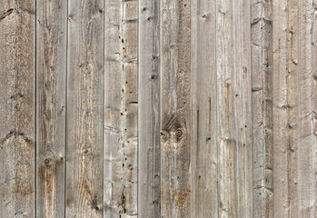 Grey wooden background.An old weathered wooden fence.
