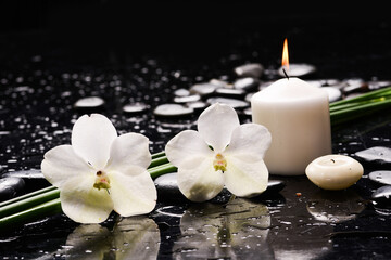Fototapeta na wymiar Still life of with Two white orchid ,candle and zen black stones and green plant on wet background, 