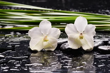 Deurstickers Still life of with  White orchid ,candle and zen black stones and green plant on wet background,  © Mee Ting