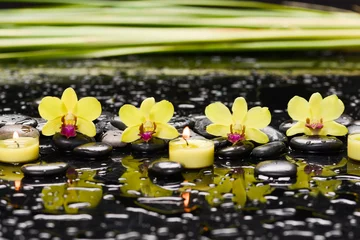 Foto op Canvas Still life of with  Row of yellow orchid,candle, and zen black stones with green plants  on wet background  © Mee Ting
