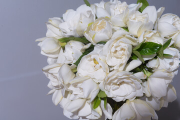 bouquet of 
 white gardenia with leaf on gray background
