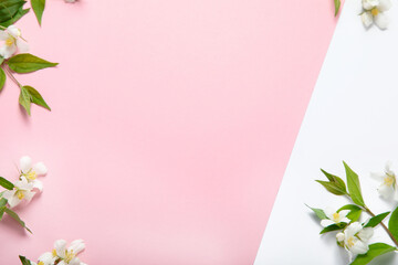 Fototapeta na wymiar Jasmine flowers on pink background.