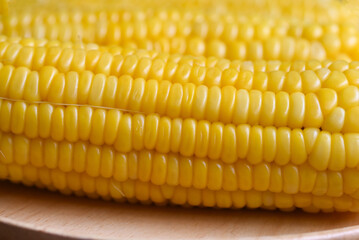 ripe corn cobs steamed or boiled sweetcorn for food vegan dinner or snack, cooked sweet corn background