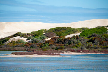 Fototapeta na wymiar Point Sinclair Sand Dunes - South Australia