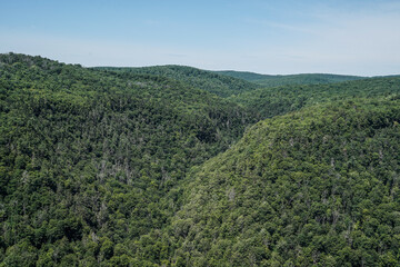 Obraz premium Scenic landscape view of the Pennsylvania Grand Canyon. Mountains in the summer. Lush green.