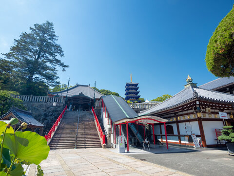 宝塚市 中山観音（大本山中山寺）
