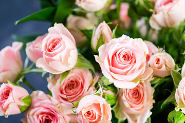 Bouquet of several branches of pink roses. Background of pink roses