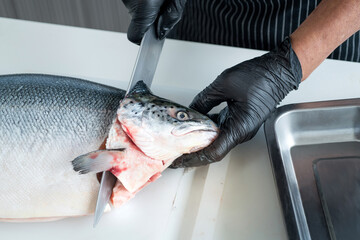 Process of cutting with a knife salmon fish heads on a cutting board, hands of chef with glove cuts...