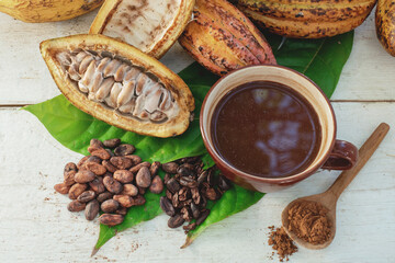 View from above, cup of chocolate drink with fresh cacoa fruits, cutting cacoa pods in half show the inside of raw cacao beans, on cacoa green leaf and white wooden table