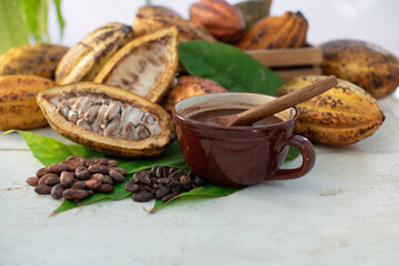 Cup of chocolate drink with fresh cacoa fruits, cutting cacoa pods in half show the inside of raw cacao beans, on Cacoa green leaf and white wooden table