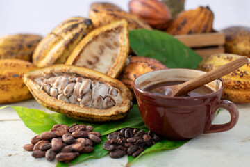 Cup of chocolate drink with fresh cacoa fruits, cutting cacoa pods in half show the inside of raw cacao beans, on Cacoa green leaf and white wooden table