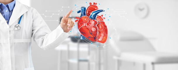 Cardiologist using digital twin technology in clinic