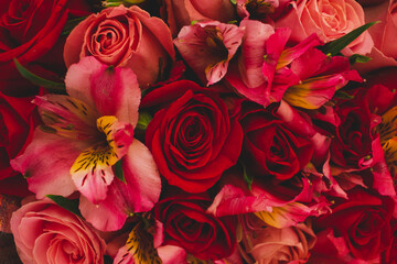 rosa, flor, rojo, amor, ramo, romance, naturaleza, florecer