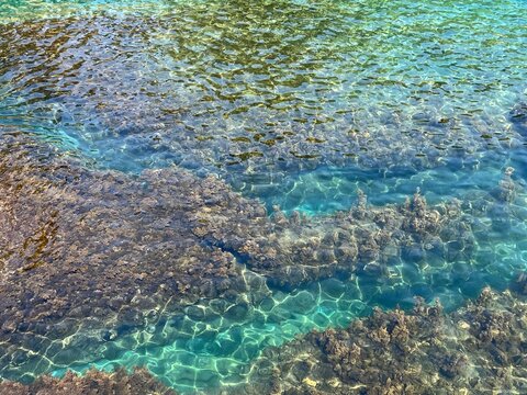 Clear transparent water with dense algae in the blue turquoise sea at summer. Glittering beautiful seascape in paradise lagoon. Aqua. Zen. Relax.