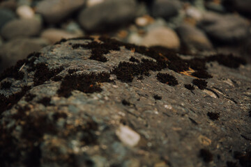 Texture of rocky terrain, beautiful patterns of stones on the ground
