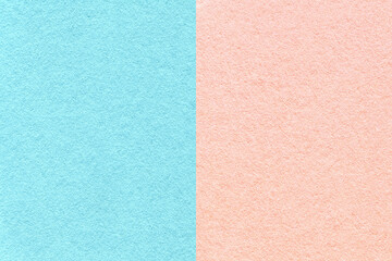 Texture of craft light blue and pink paper background, half two colors, macro. Structure of vintage coral cardboard