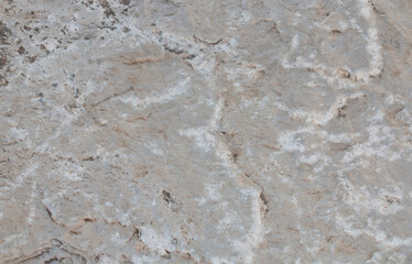 Obraz premium Natural stone texture granite expanded clay stone texture for a beautiful interior