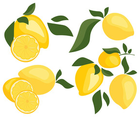 set plant citrus ripe juicy yellow lemon healthy food