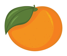 plant citrus ripe juicy orange healthy food