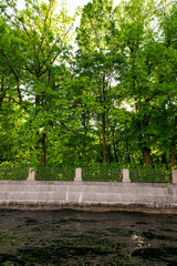 Green leaves on the trees in the park near the river.