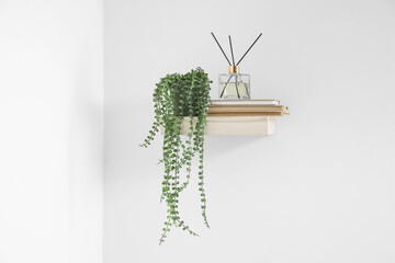 Shelf with reed diffuser, houseplant and books hanging on light wall