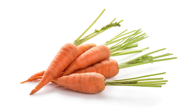Raw fresh carrots on white background