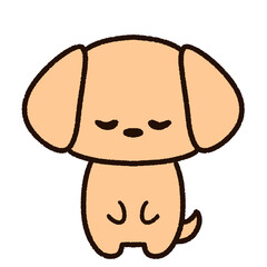 お辞儀をするかわいい犬　ミニチュアダックス