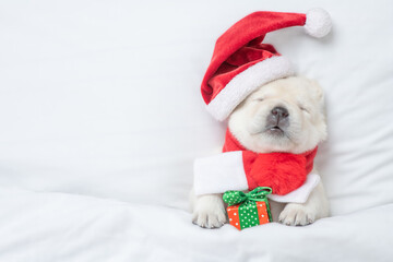Funny Golden retriever puppy wearing red santa's hat sleeps under warm blanket on a bed at home and...