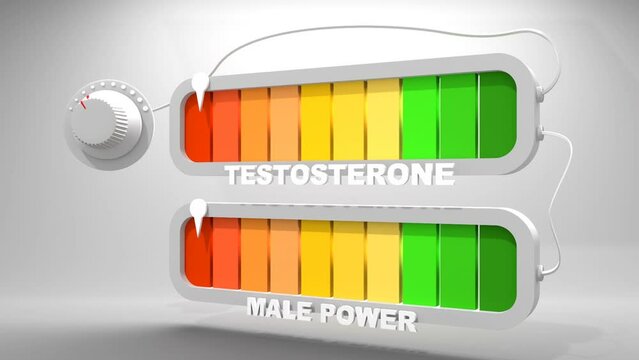 Male power and testosterone meter scales. The libido level measuring device. Dependence of sexual activity on testosterone levels. 3D render