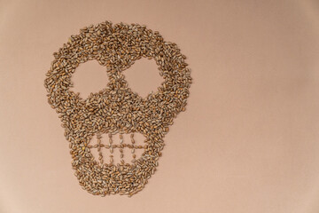 A skull made of wheat. Hunger. The food crisis. The global crisis. Consequences of the war. The problem with wheat from Ukraine. Empty space on the right