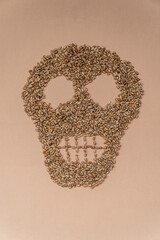 A skull made of wheat. Hunger. The food crisis. The global crisis. Consequences of the war. The problem with wheat from Ukraine .Vertical photo