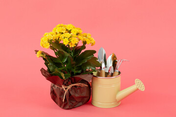 Gardening tools and accessories on pink background