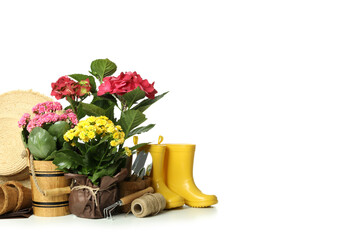 Gardening tools and accessories isolated on white background