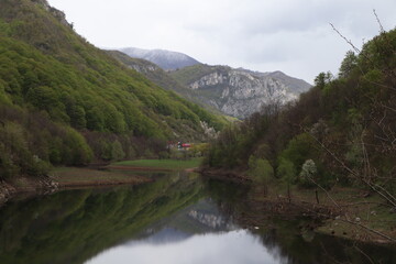 Fototapeta na wymiar Domogled-Valea Cernei