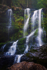 waterfall in the forest