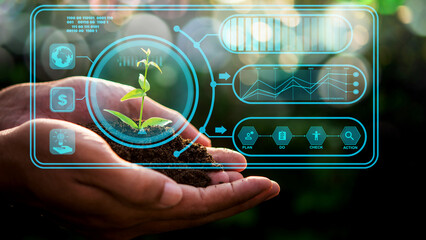 Hand of someone holding sapling growing from the soil with digital data info. The new life plane beginning in nature concept	