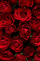 Dark red roses abstract flowers background