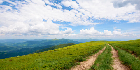 hiking trail through grassy hills. mountain scenery in summer. cumulus clouds on the blue sky above...