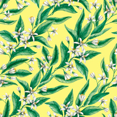Seamless floral pattern with branches of green leaves and white citrus tree flowers on a yellow background. Hand-drawn watercolor illustration. Fabric, textile design.